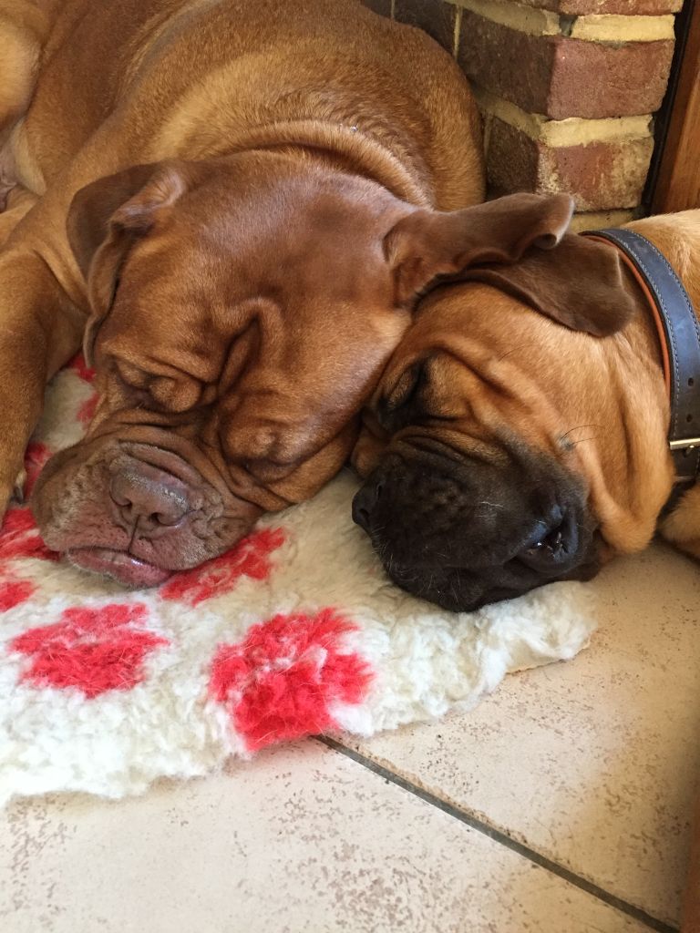 Ossi fraga Sweet Force