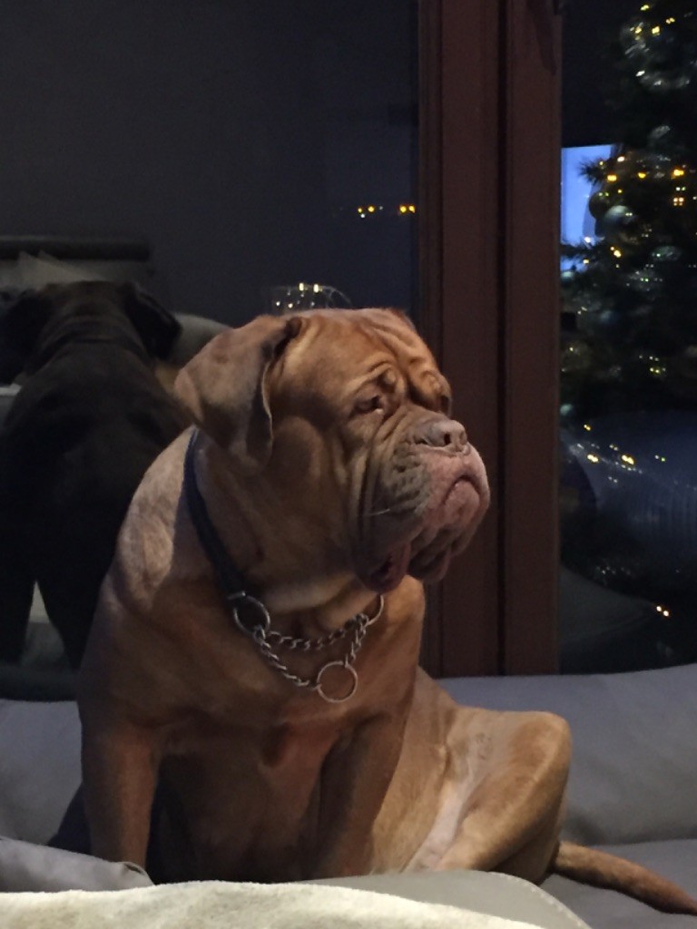 Ossi fraga Sweet Force