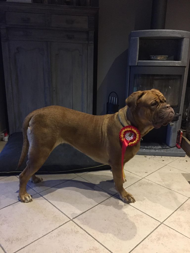 Ossi fraga Sweet Force