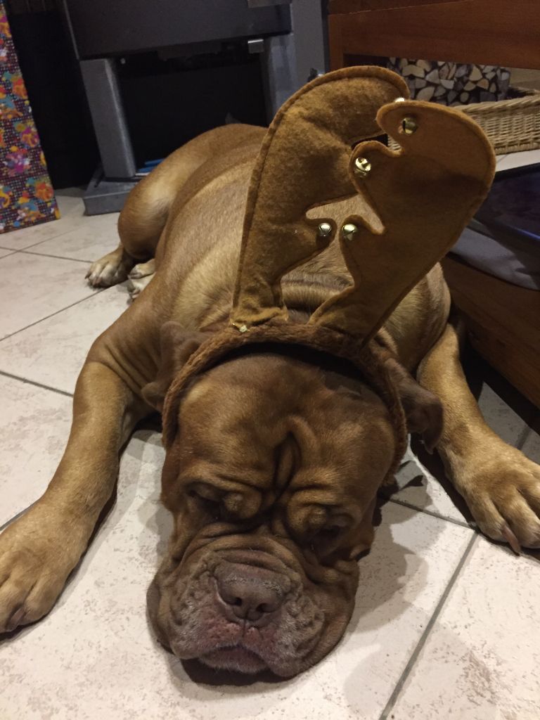 Ossi fraga Sweet Force