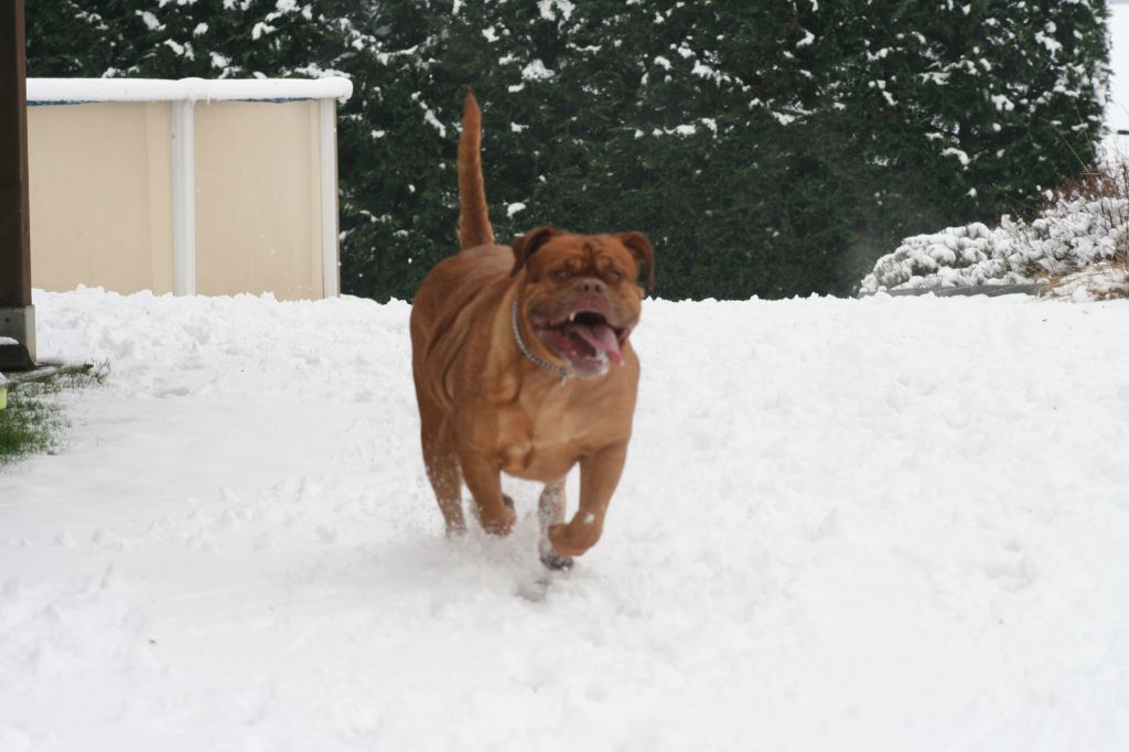 Ossi fraga Sweet Force