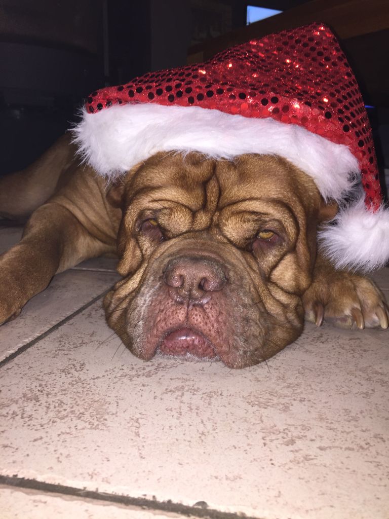 Ossi fraga Sweet Force