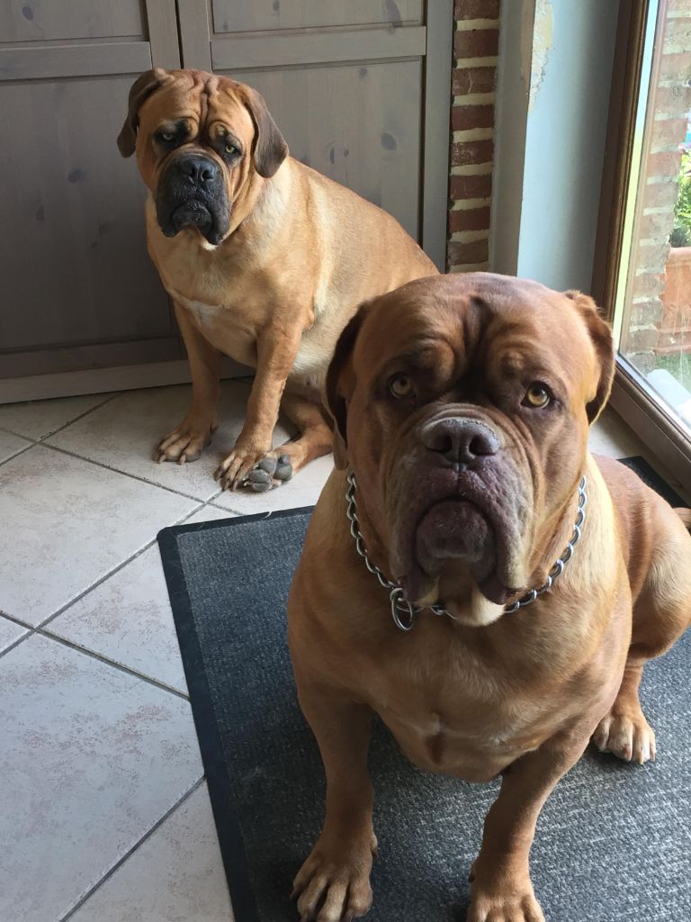 Ossi fraga Sweet Force