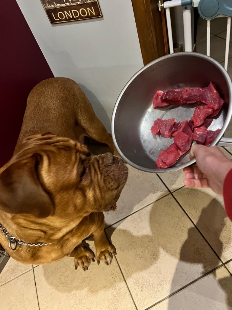 Ossi fraga Sweet Force