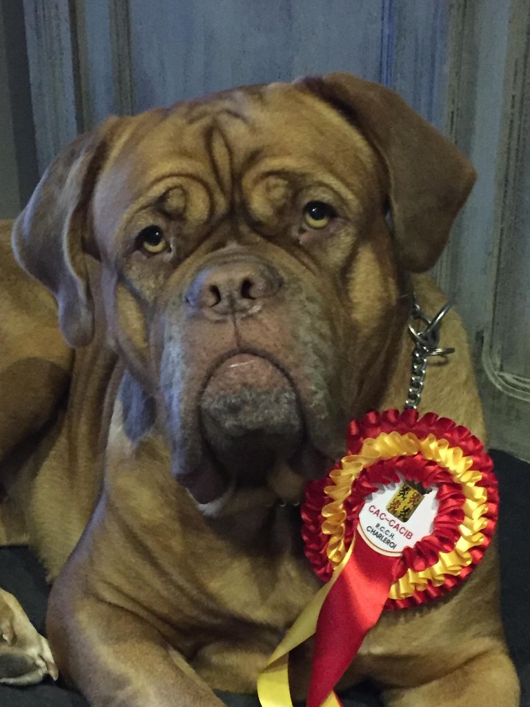 Ossi fraga Sweet Force