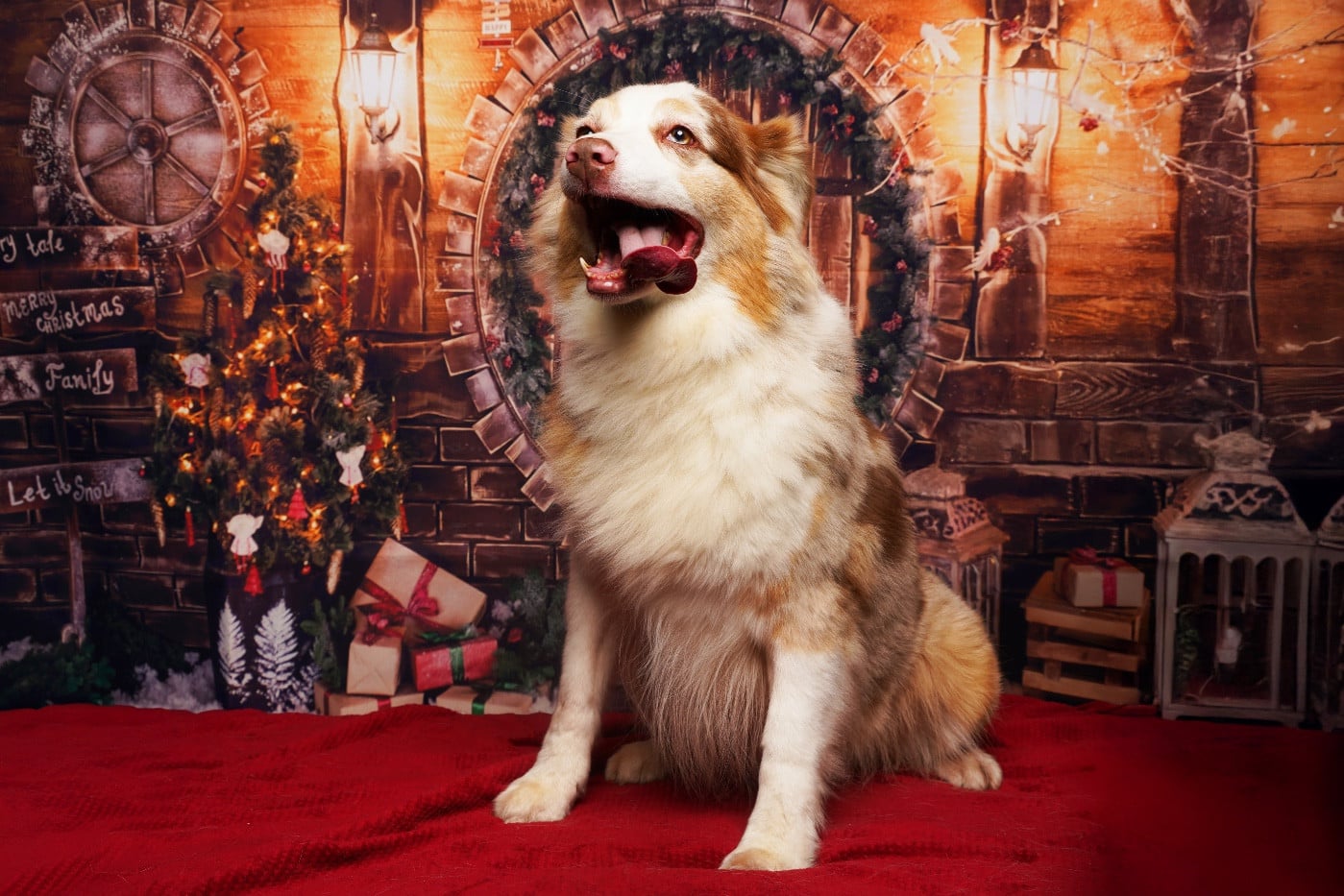 Olya my dreamy princess Du Joli Reve De Gelyna