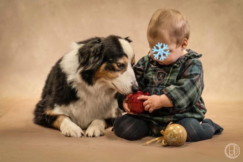 Nikky my beautiful lady Des Bergers D'Hadisga