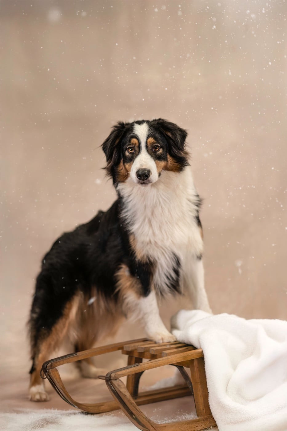 Unjoy Come Back Home Du Joli Reve De Gelyna