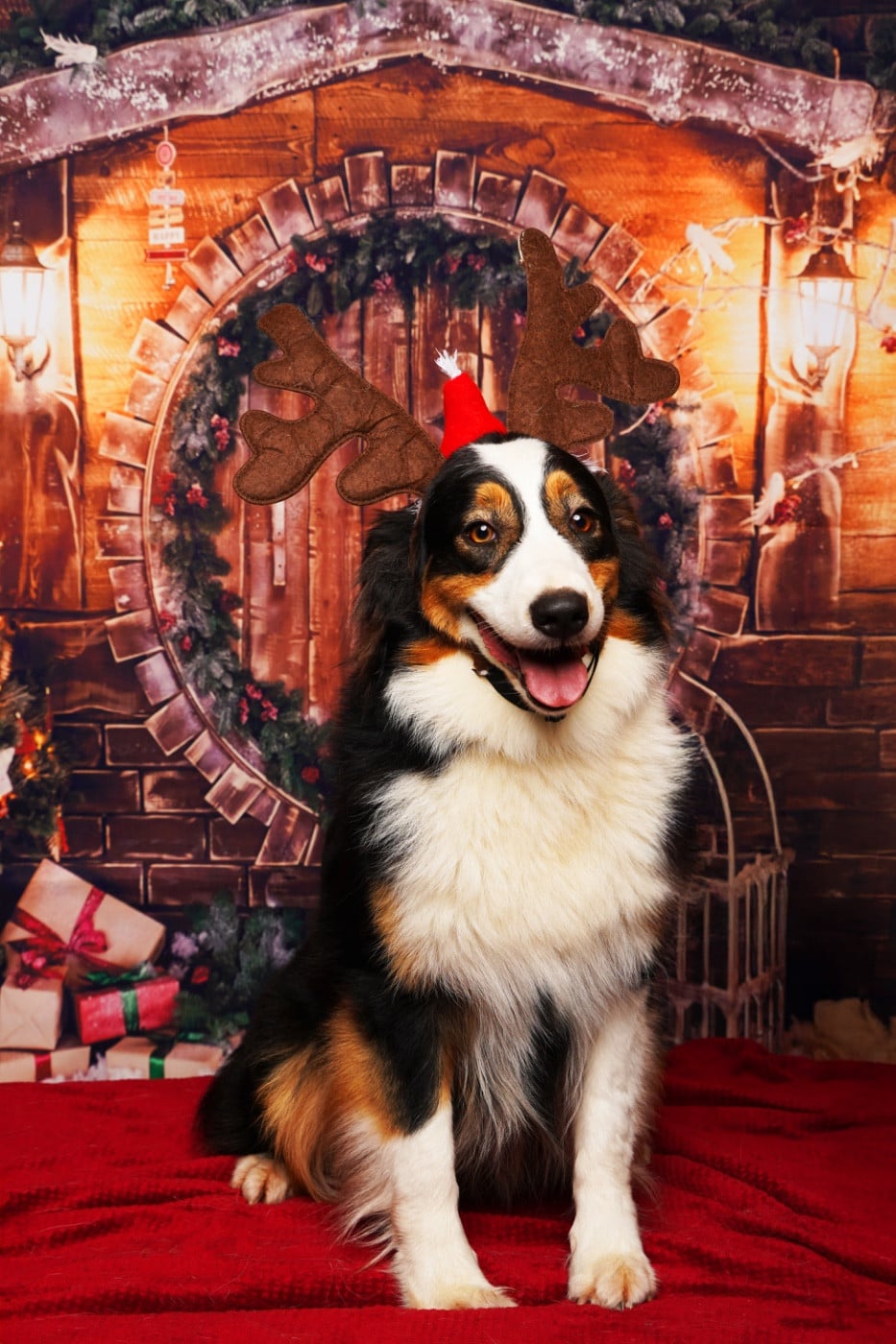 Unjoy Come Back Home Du Joli Reve De Gelyna