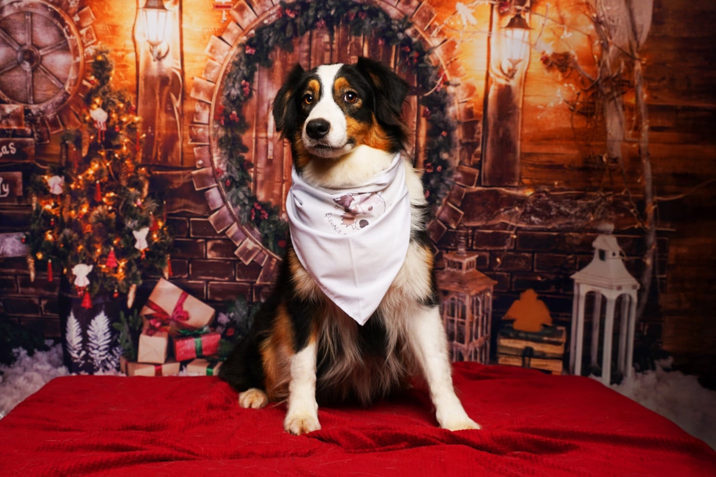 Unjoy Come Back Home Du Joli Reve De Gelyna