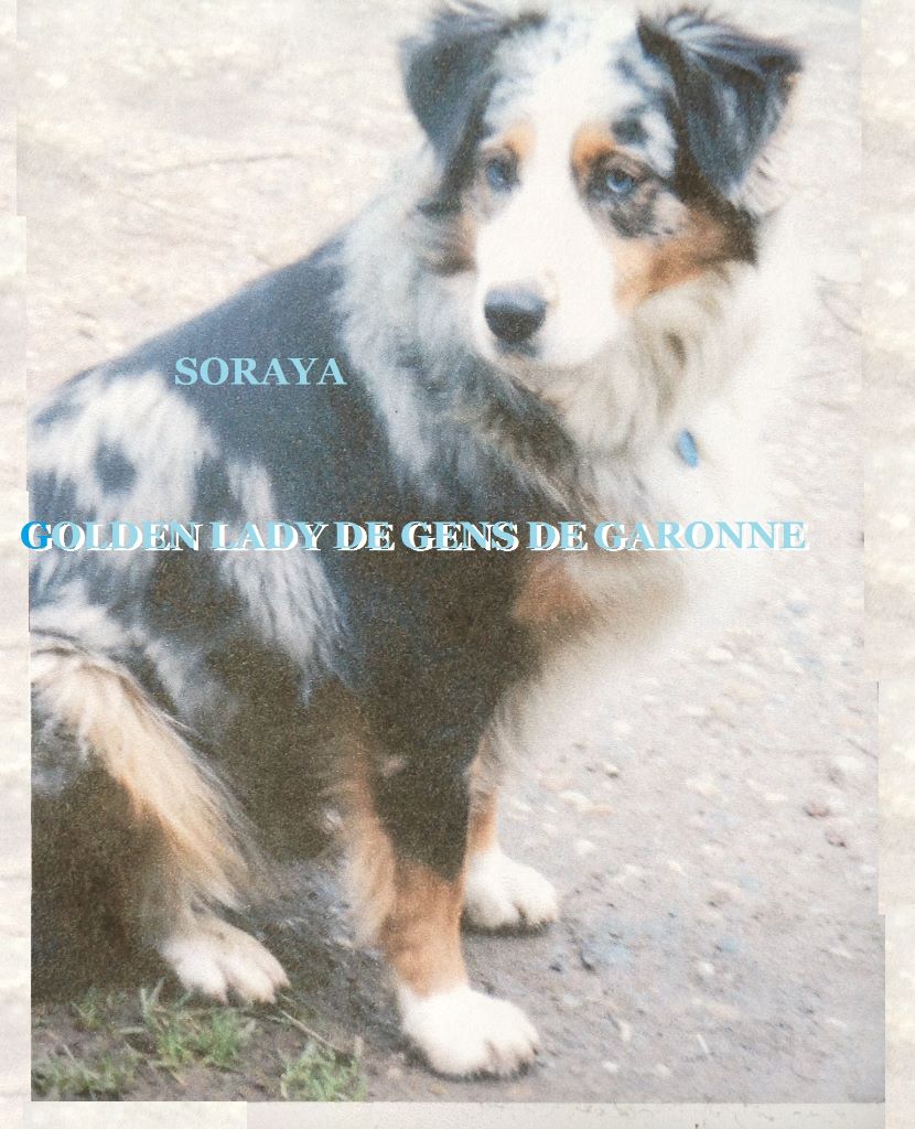 (sans affixe) usa soraya