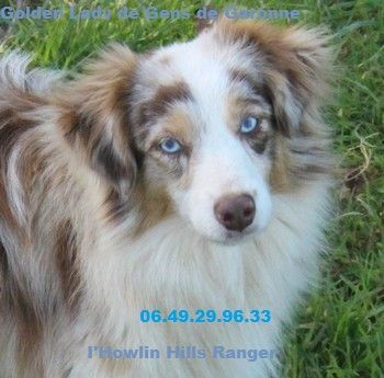 Publication : de gens de garonne Auteur : 06 49 29 96 33