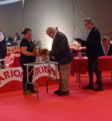 Indian summer big prime - Muy Bueno 2