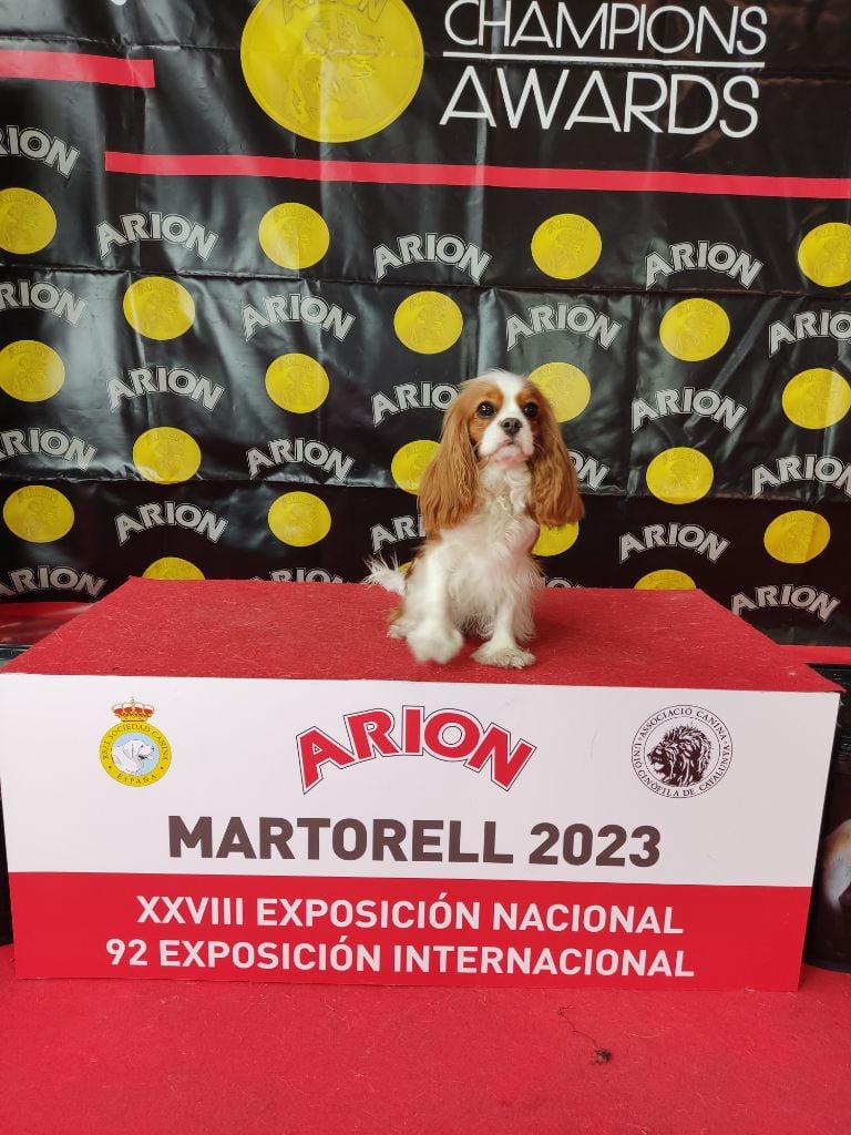 Indian summer big prime - Excelente