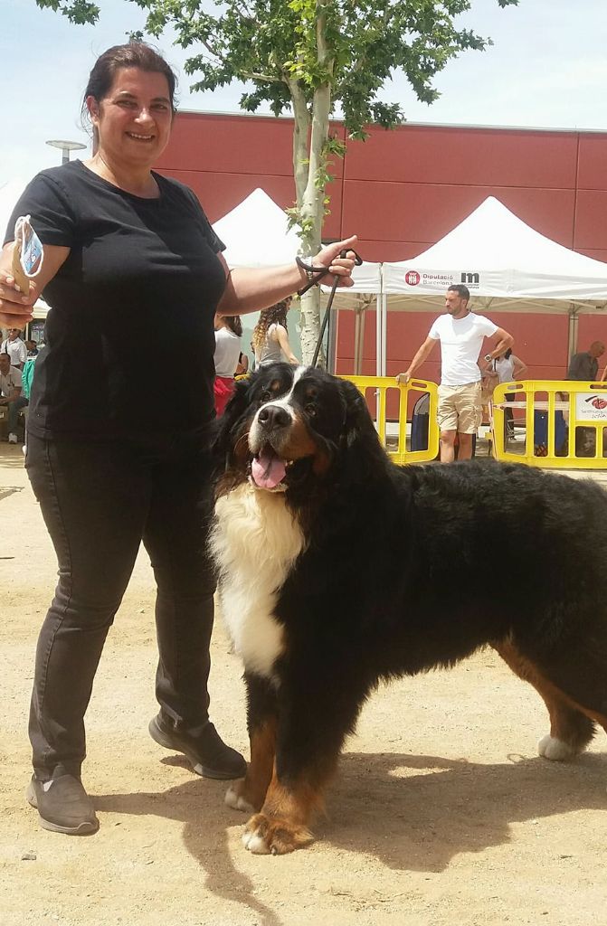 CH. J'adore davos du roi des lacs - EXCELENTE 1 - BOB