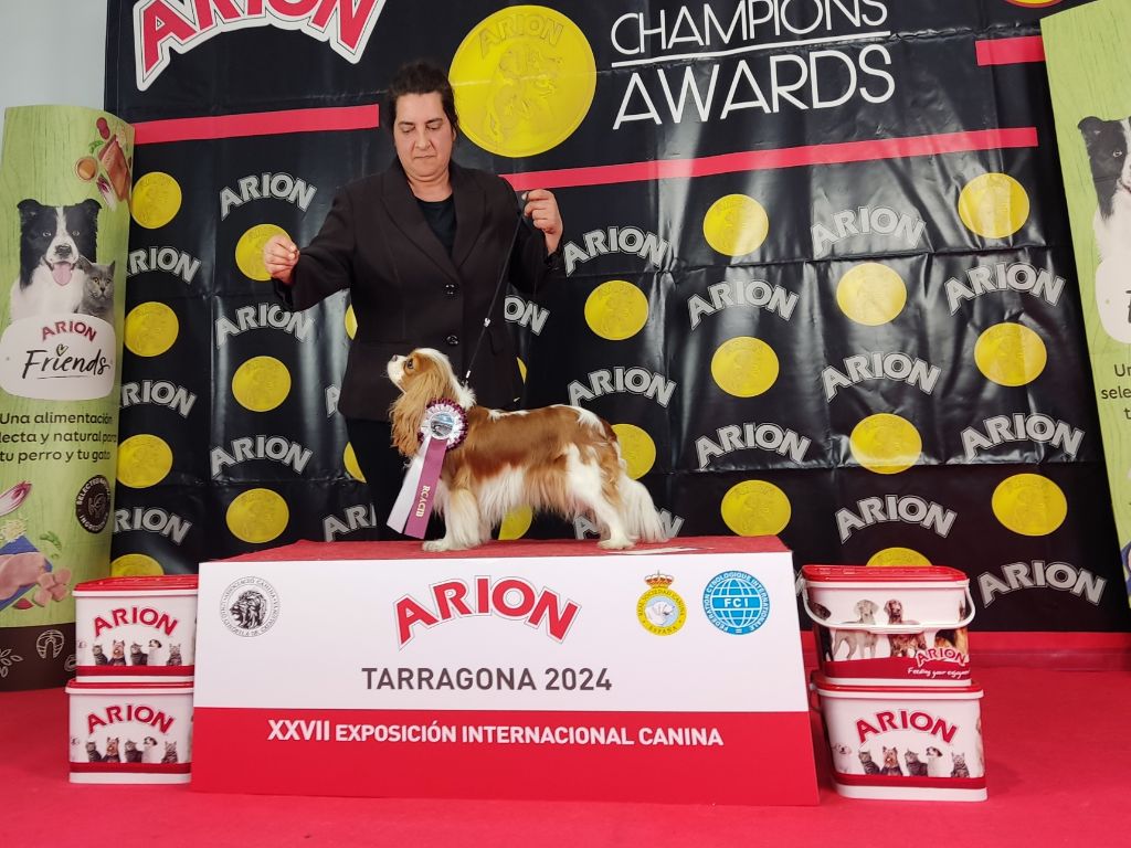 Indian summer big prime - Excelente 1 RCAC RCACIB