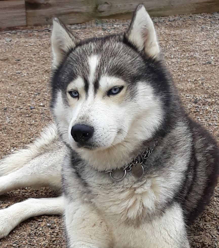 Publication : (Sans Affixe) Auteur : SB