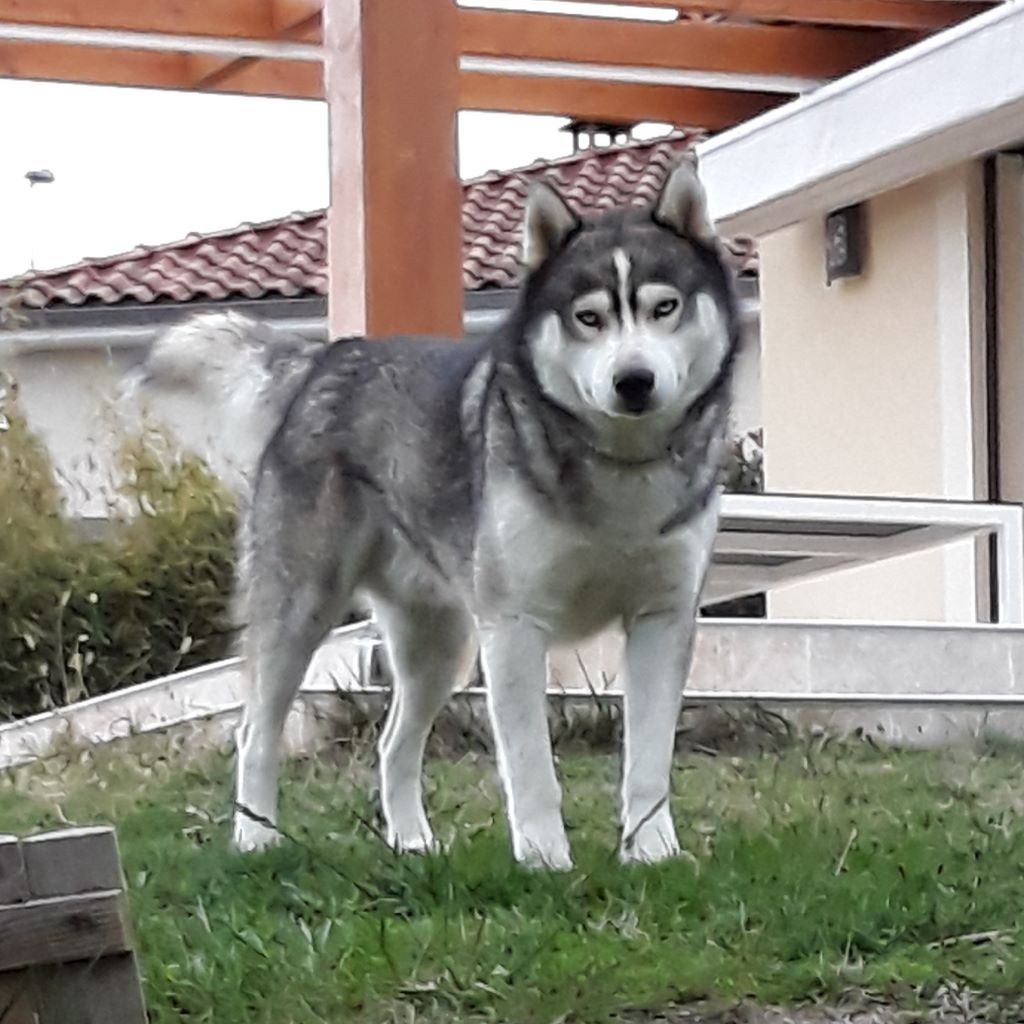 Publication : (Sans Affixe) Auteur : SB