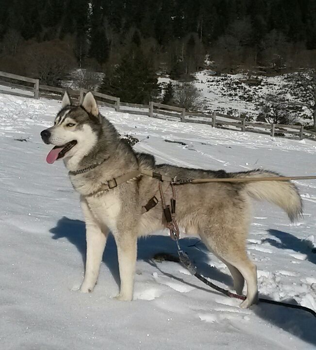 Publication : (Sans Affixe) Auteur : SB