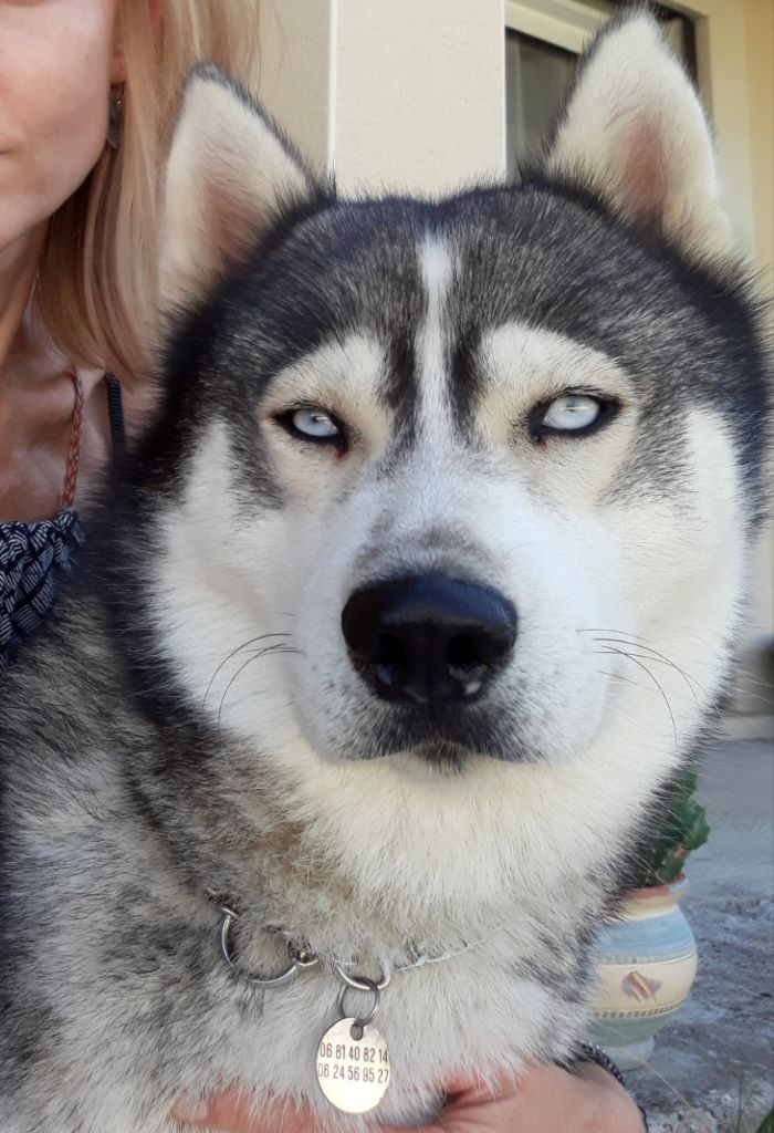 Publication : (Sans Affixe) Auteur : SB