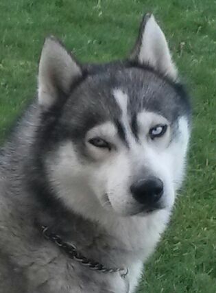 Publication : (Sans Affixe) Auteur : SB