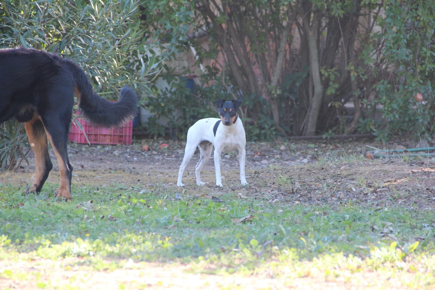 Nala-AP De Carthago Spartaria