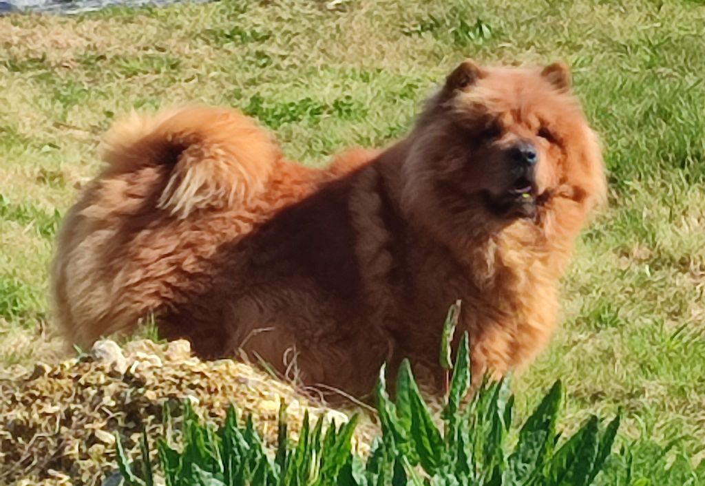 Publication : des Mignonnettes de Breizh