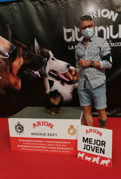 Pyrenees Pom's Rosalie petit biscuit - Classe jeune : 1ere excellent - meilleur jeune