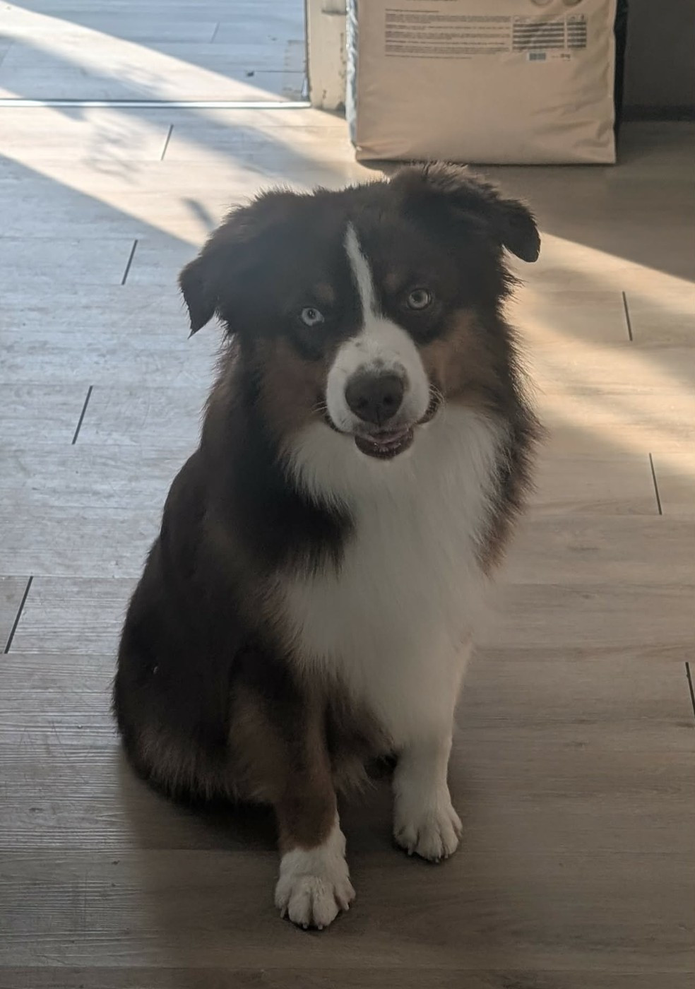 Adorable kimi Des Tres'or De La Lyre