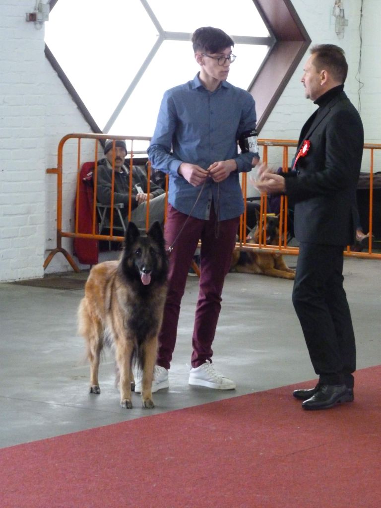 CH. S.r.l'ira loin Du Domaine De L'avenir - 1ère excellent, CAC, CACIB et BOS. 2ème meilleur chien de travail