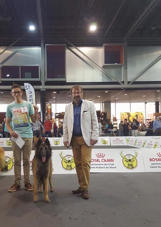 CH. S.r.l'ira loin Du Domaine De L'avenir - 1Ex en classe intermédiaire, meilleure de race, CACS, CACIB