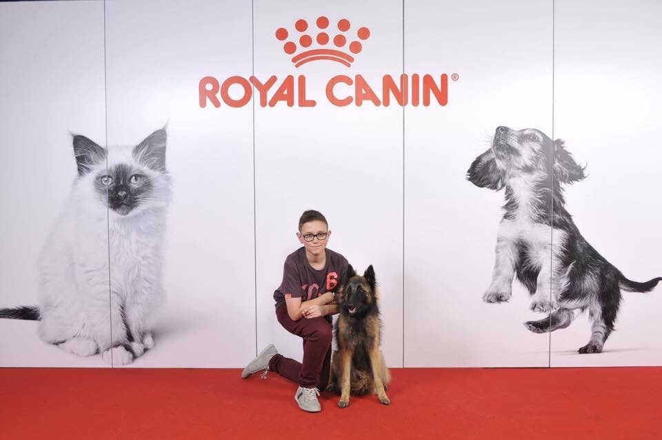 CH. S.r.l'ira loin Du Domaine De L'avenir - 3Ex en classe jeune