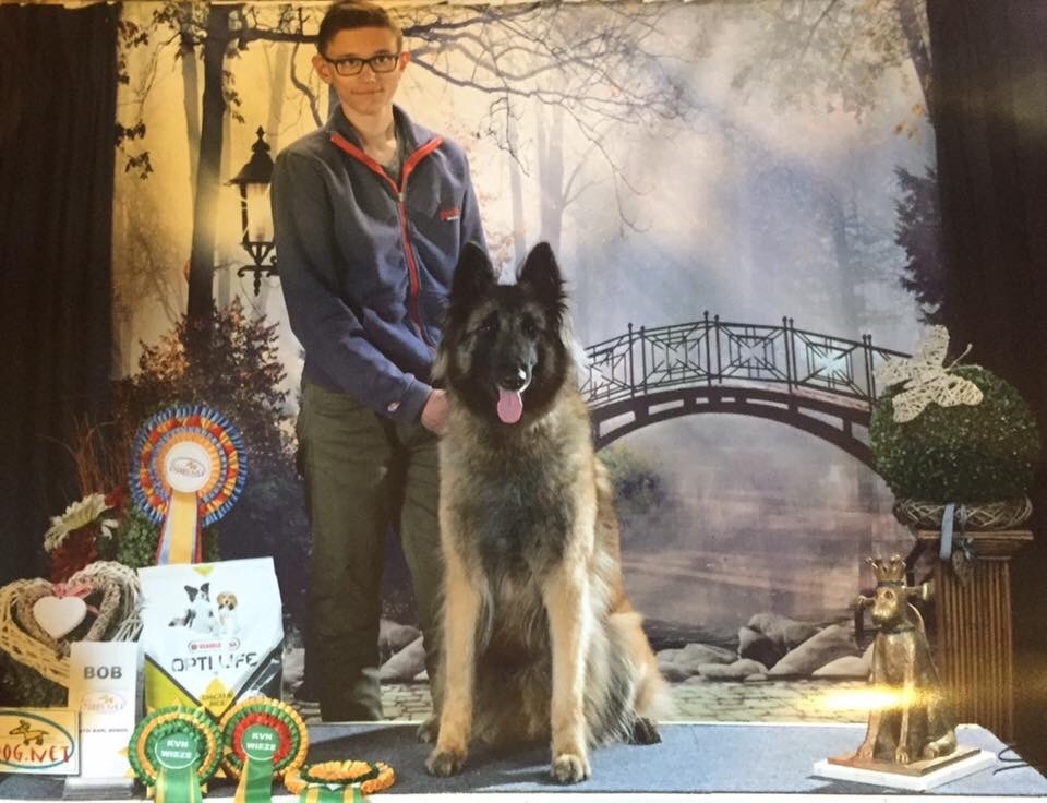 CH. S.r.l'ira loin Du Domaine De L'avenir - 1Ex en classe travail, CAC, BOB, RBOG et BIS chien de travail