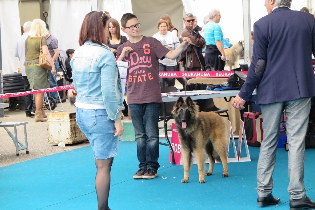 CH. S.r.l'ira loin Du Domaine De L'avenir - 3 Très prometteur en classe puppy