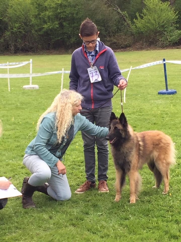 CH. S.r.l'ira loin Du Domaine De L'avenir - 2Ex en classe jeune