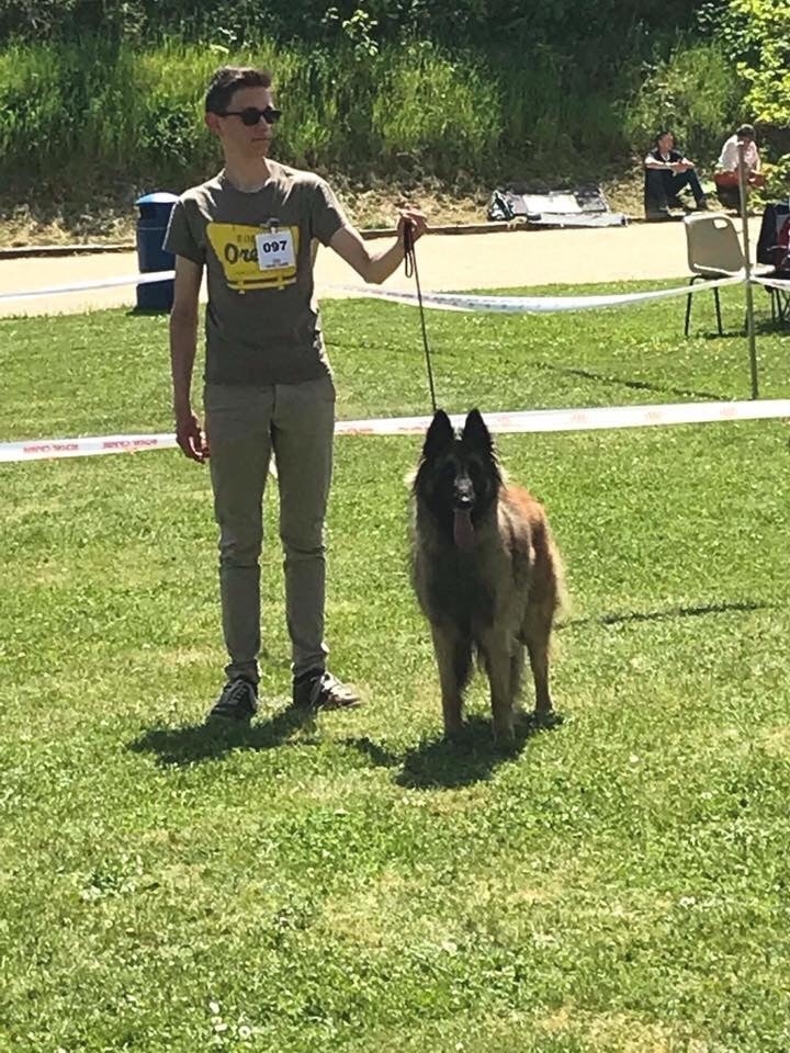 CH. S.r.l'ira loin Du Domaine De L'avenir - 1Ex en classe travail