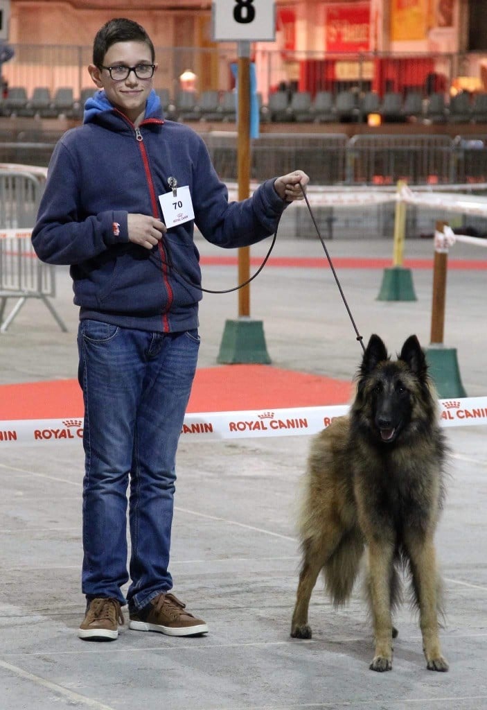 CH. S.r.l'ira loin Du Domaine De L'avenir - 1Ex en classe jeune