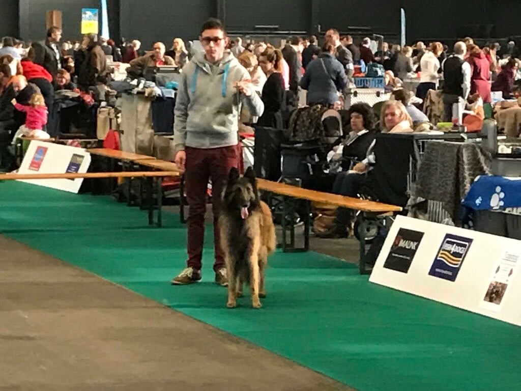 CH. S.r.l'ira loin Du Domaine De L'avenir - 1Ex en classe ouverte, RCAC