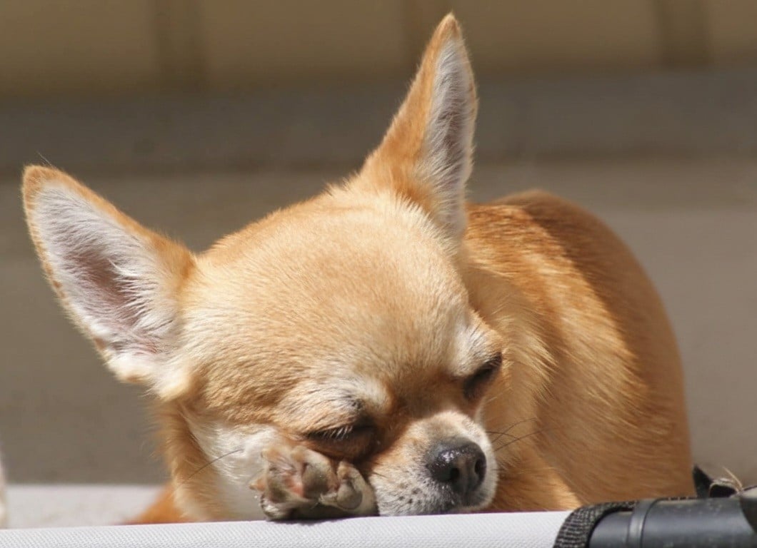 Publication : Du Grimoire Des Nains