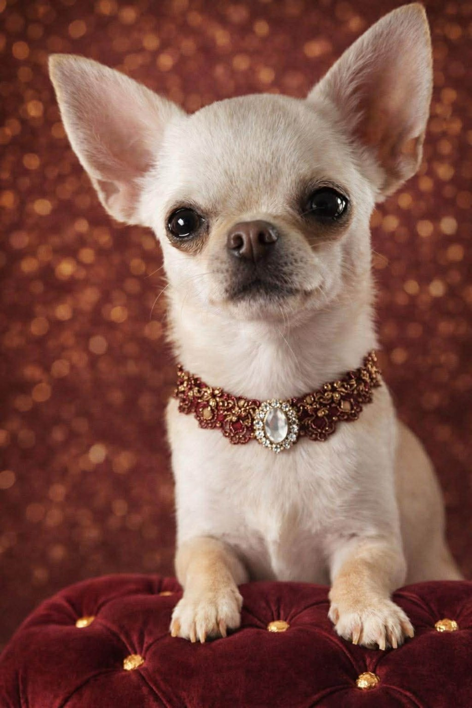 Publication : Du Grimoire Des Nains