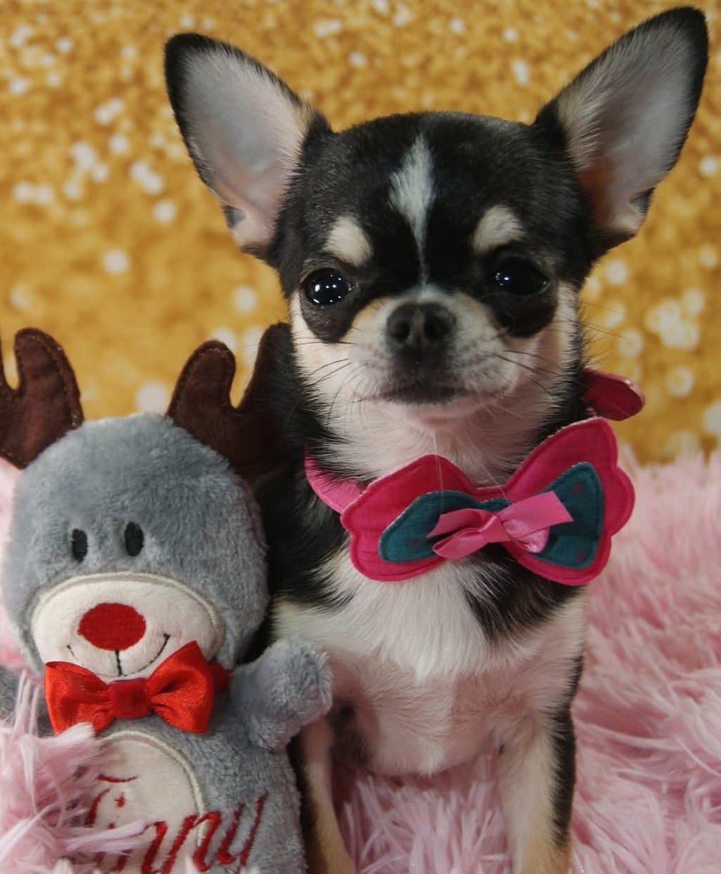 Publication : Du Grimoire Des Nains