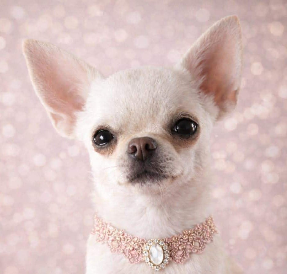 Publication : Du Grimoire Des Nains