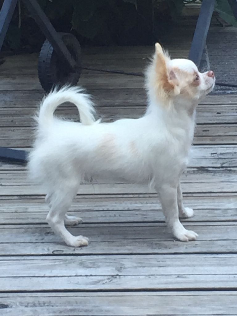 Madison des légendes d'Athena - TRÈS BON CLASSE JEUNE MÂLES