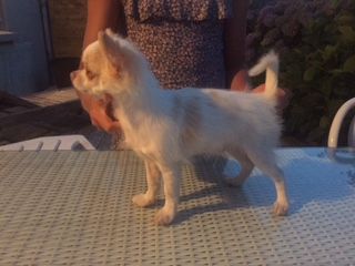 Madison des légendes d'Athena - TRÈS BON CLASSE JEUNE MÂLES