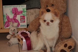 Madison des légendes d'Athena - TRÈS BON CLASSE JEUNE MÂLES