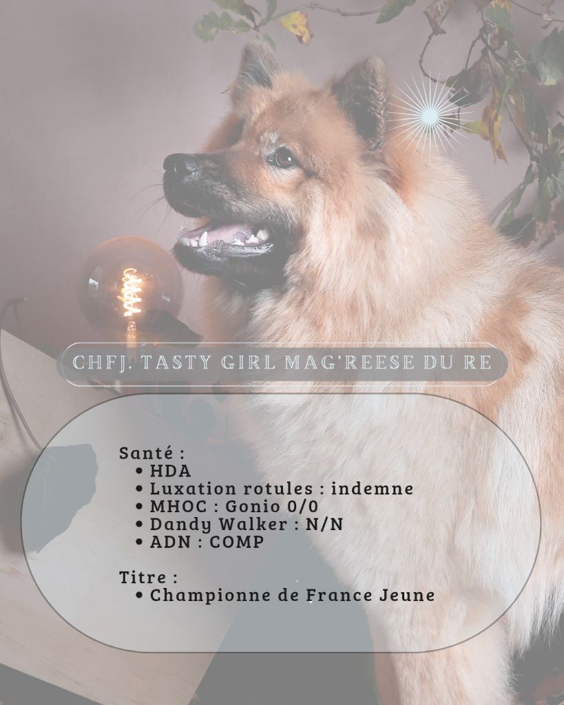 Tasty girl mag'reese du royaume d'ebene