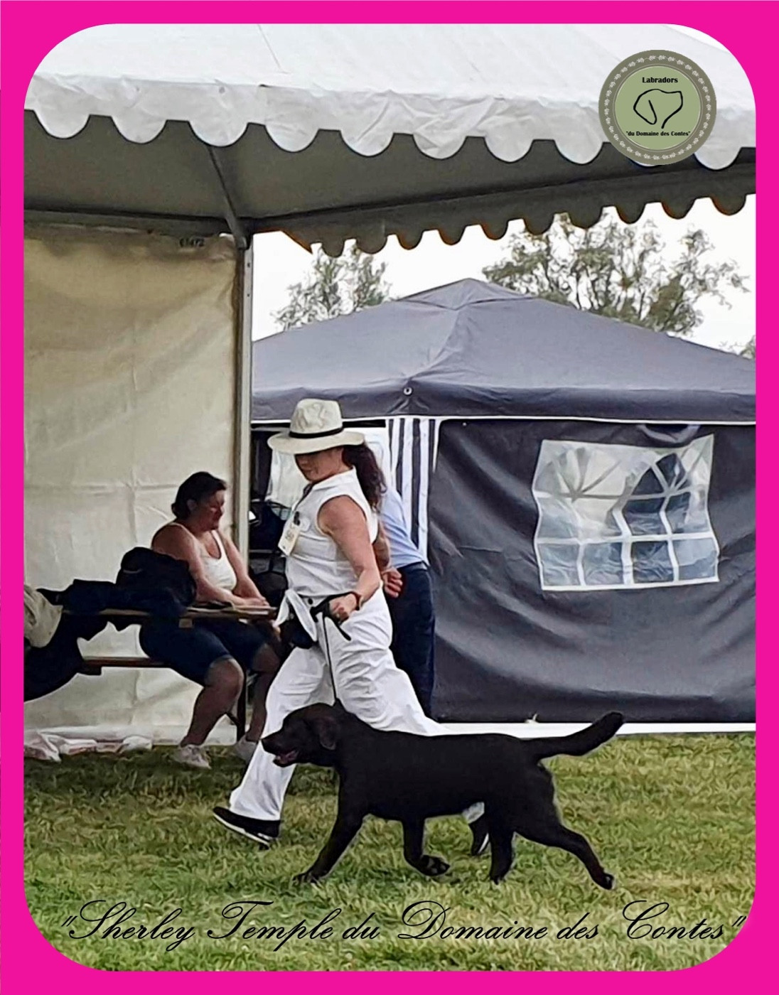 Publication : Du Domaine Des Contes Auteur : Hetzel Stella