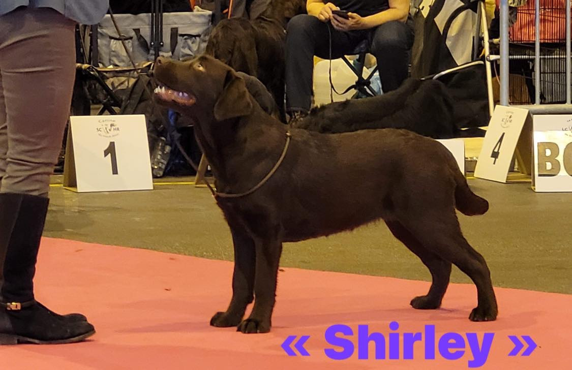 Publication : Du Domaine Des Contes Auteur : Hetzel Stella