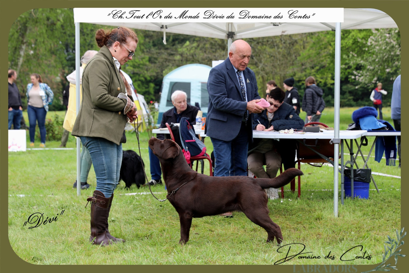TR. CH. Tout l'or du monde dévi Du Domaine Des Contes