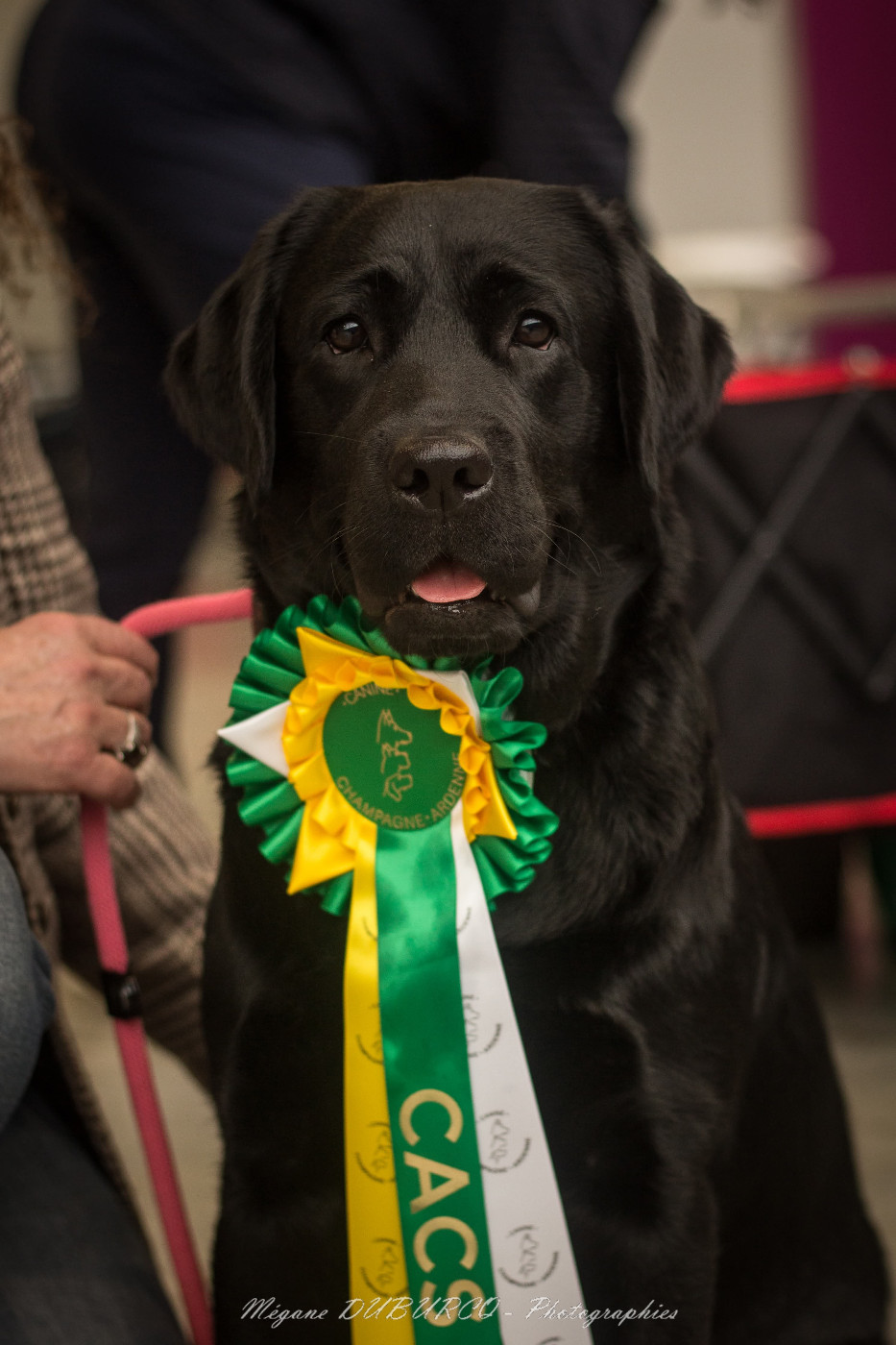 CH. J Veritable perle noire Du Domaine Des Contes